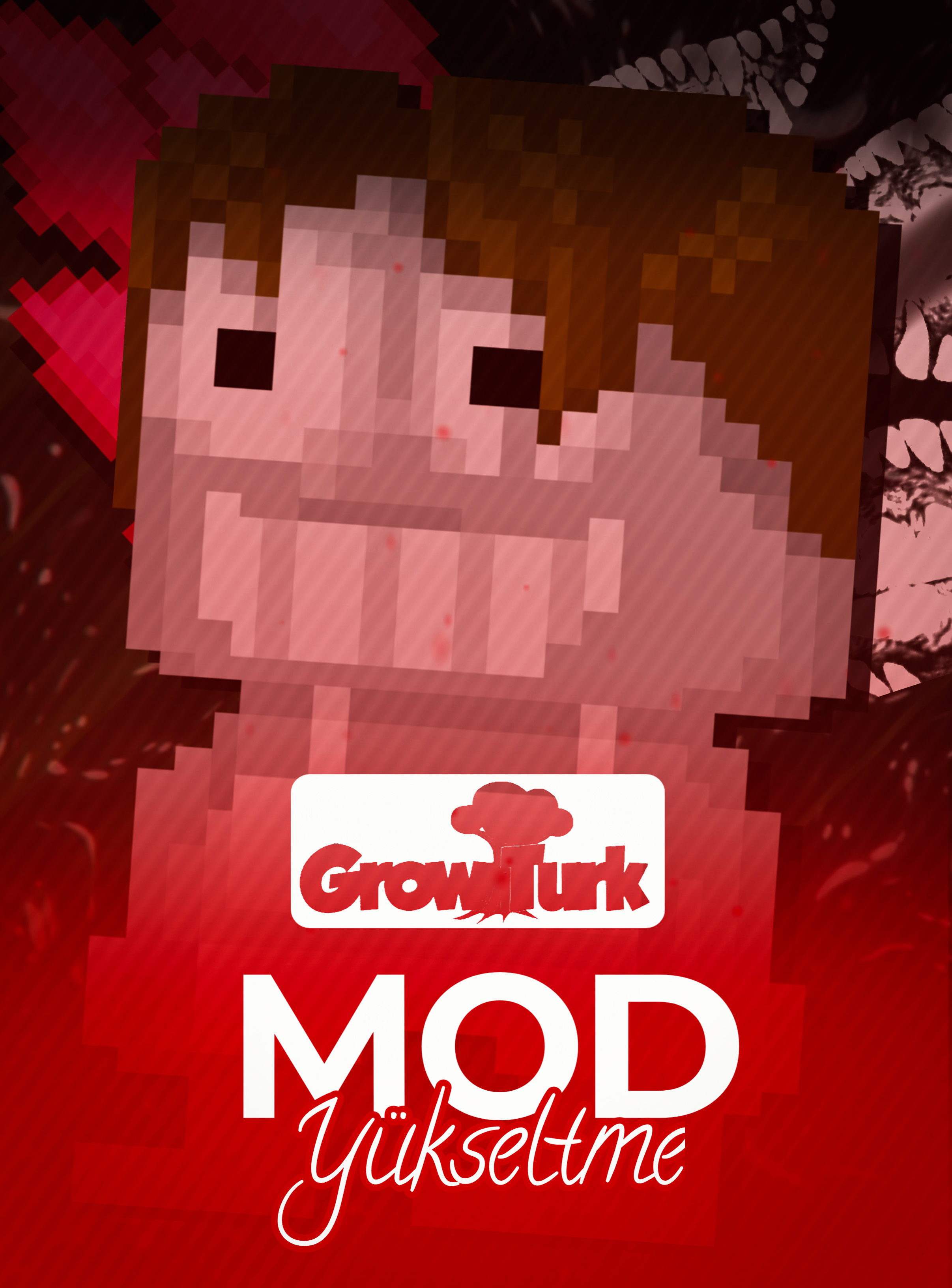 MOD Yetkisi Görseli