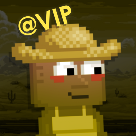 Vip Yetkisi